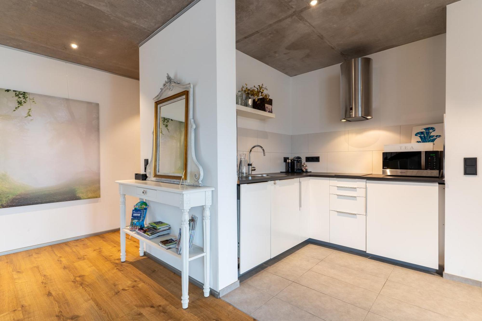 Apartment Vicas