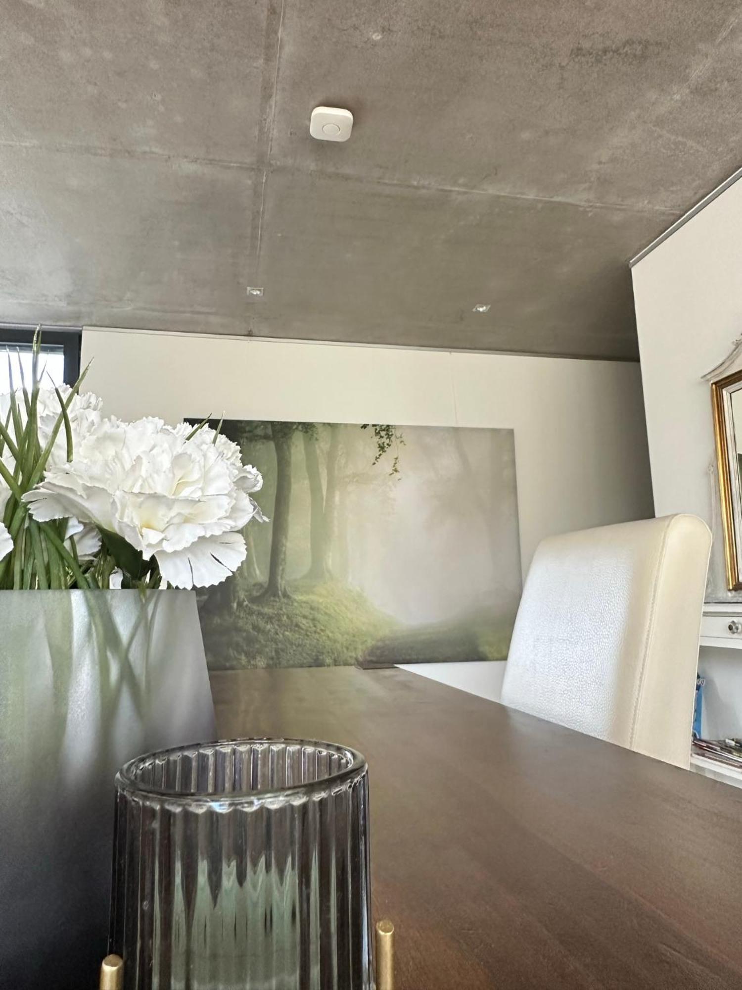 Apartment Vicas